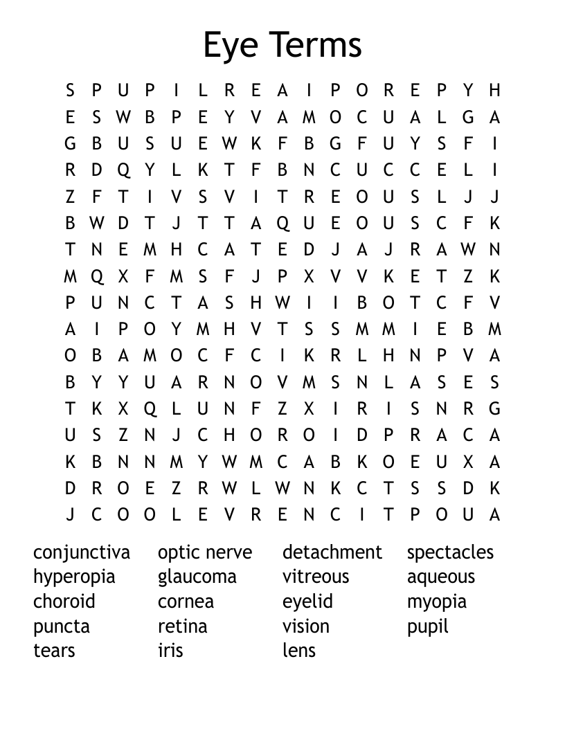 Eye Terms Word Search