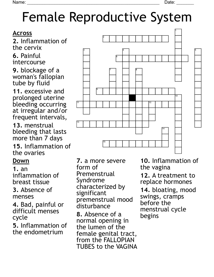 Female Reproductive System Crossword