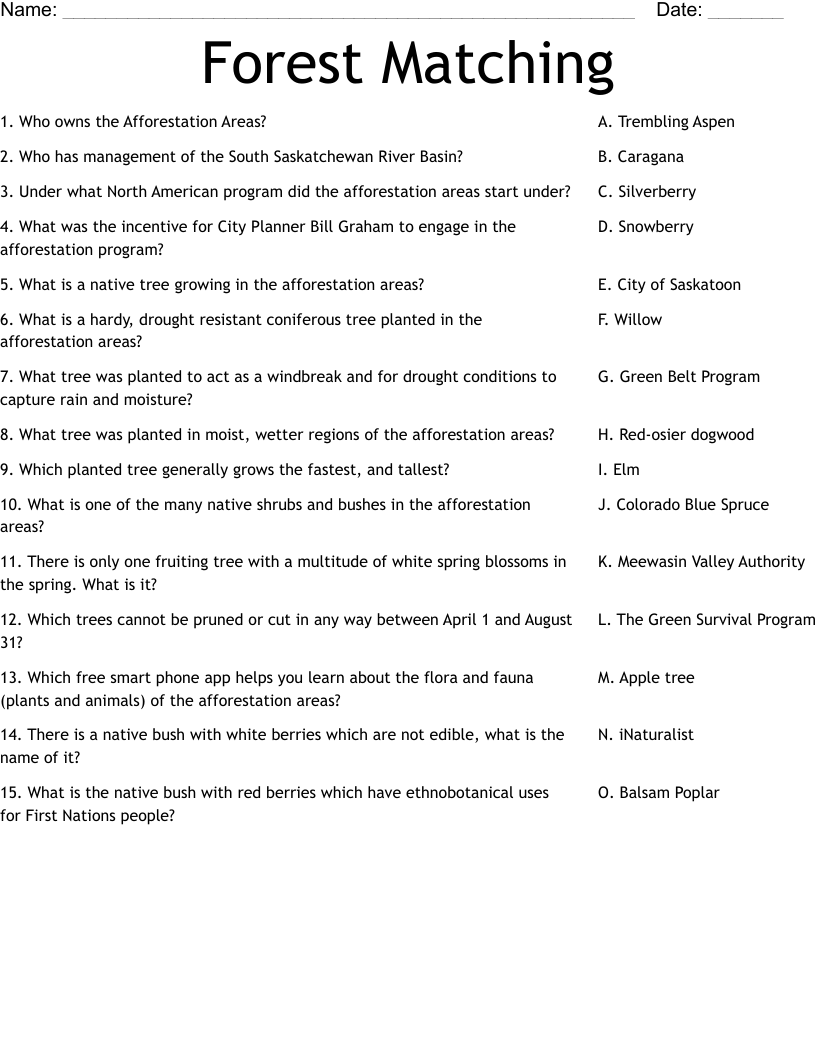 Forest Matching Worksheet