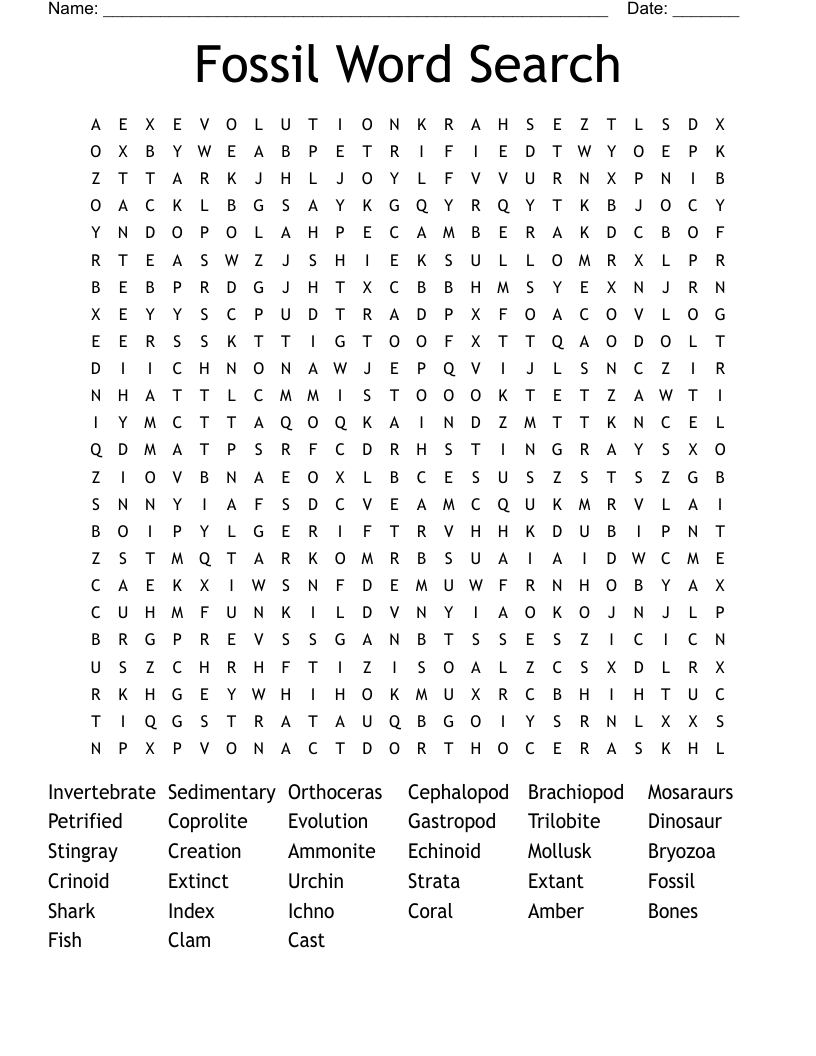 Fossil Word Search