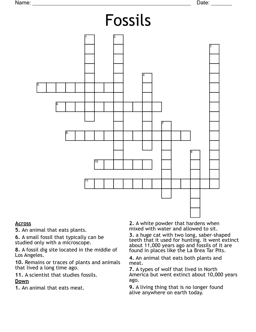 Fossils Crossword