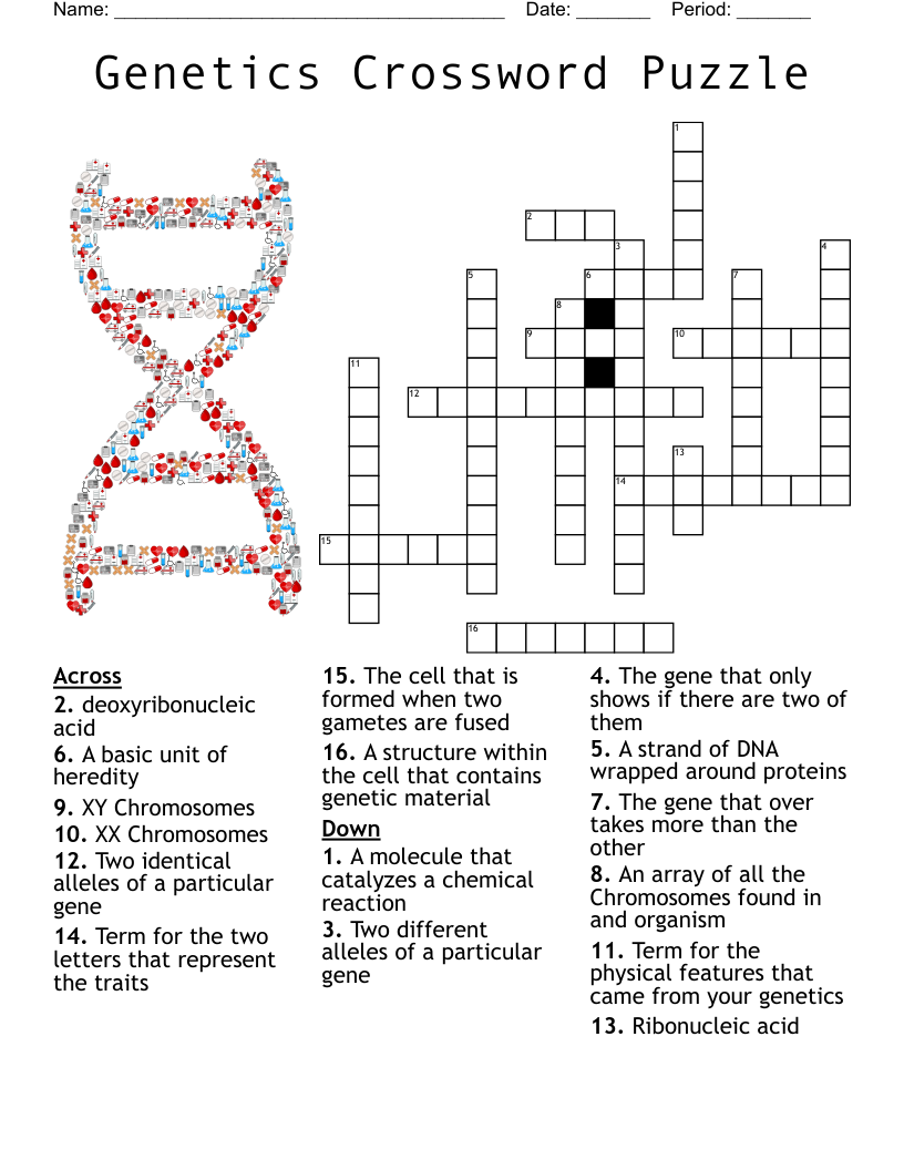 Genetics Crossword Puzzle