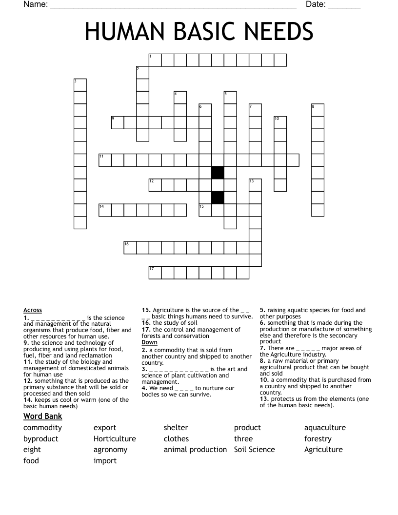 HUMAN BASIC NEEDS  Crossword