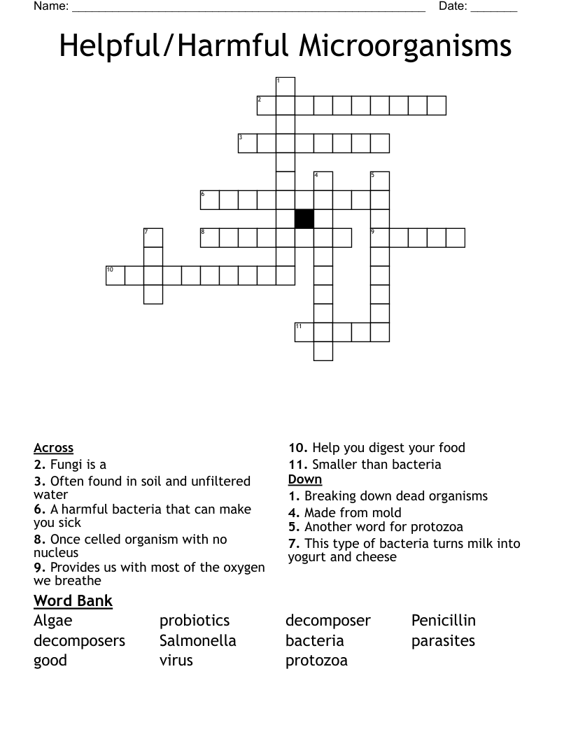 Helpful/Harmful Microorganisms Crossword