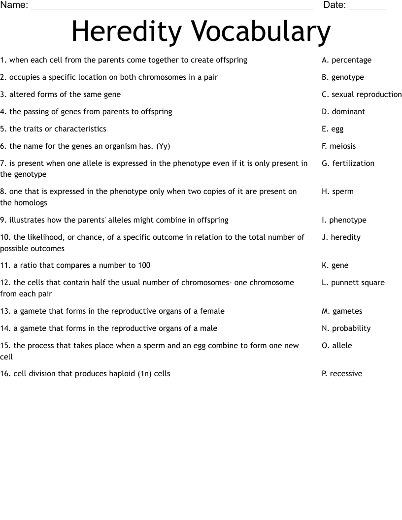 Heredity Vocabulary Worksheet