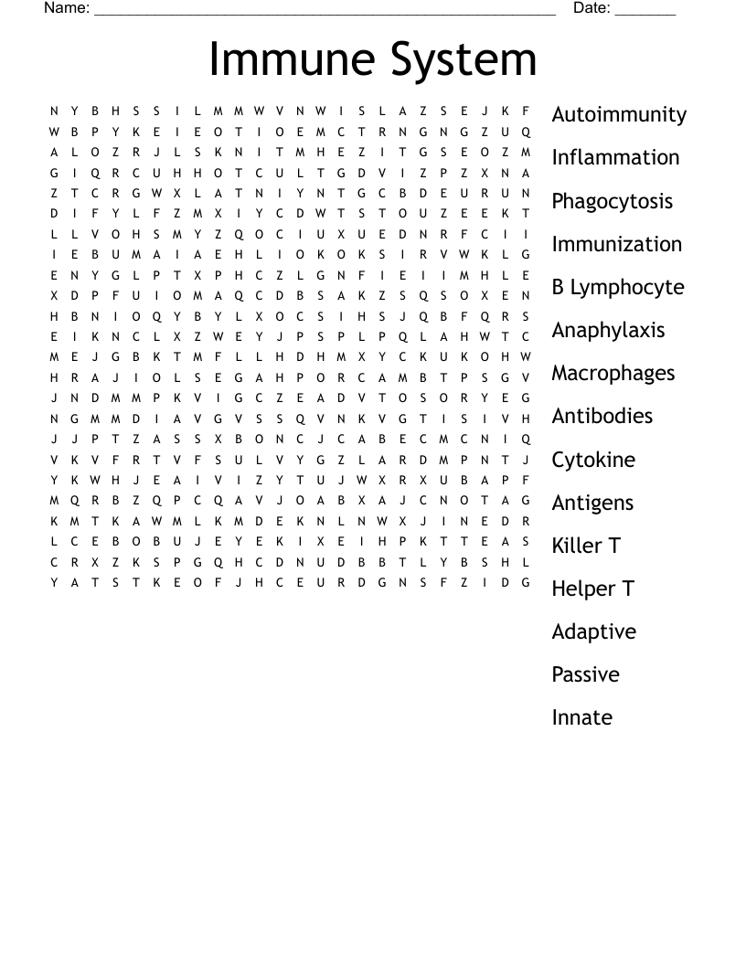 Immune System Word Search