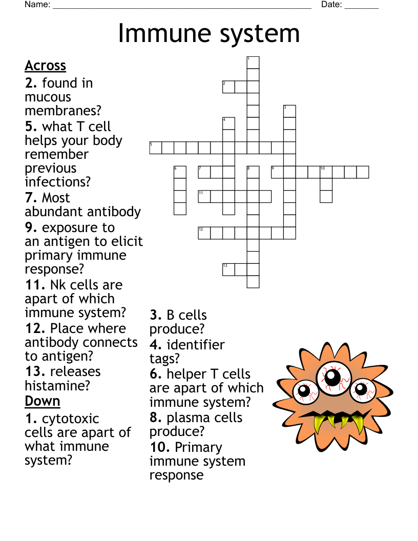 Immune system Crossword