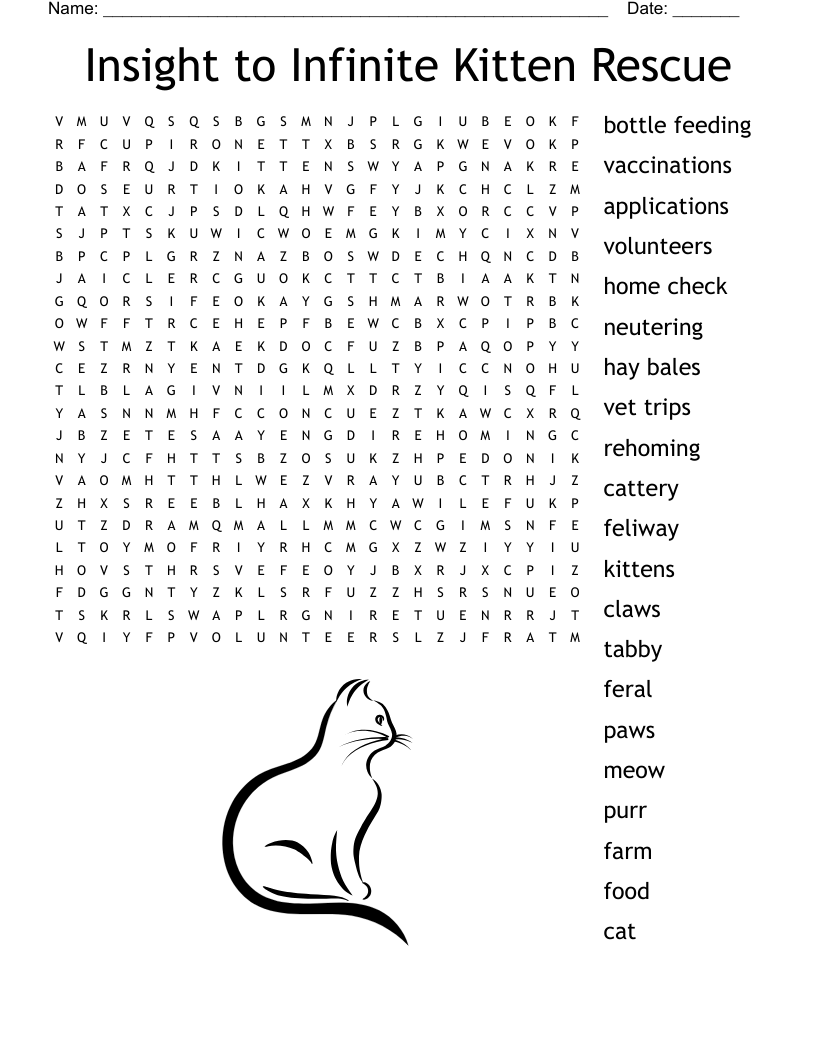 Insight to Infinite Kitten Rescue Word Search