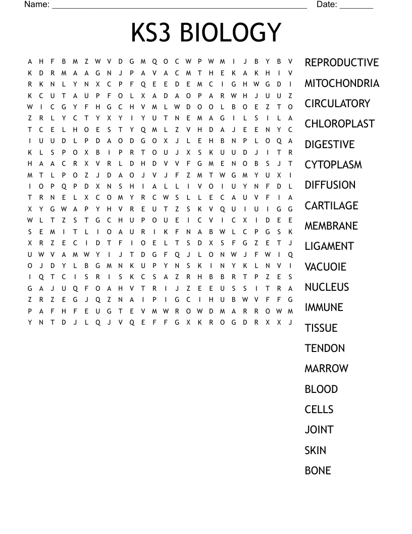 KS3 BIOLOGY Word Search