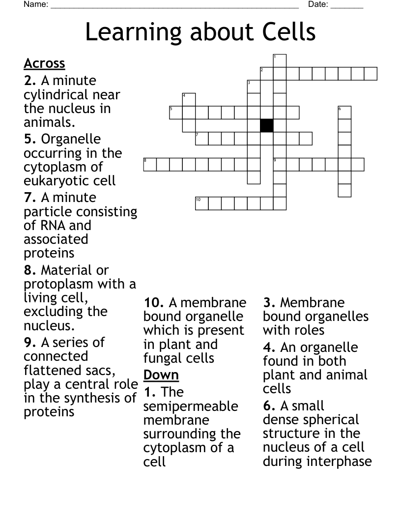 Learning about Cells Crossword