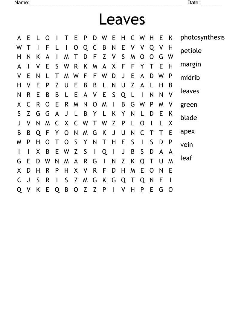 Leaves Word Search