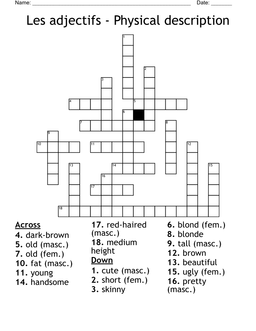 Les adjectifs - Physical description Crossword