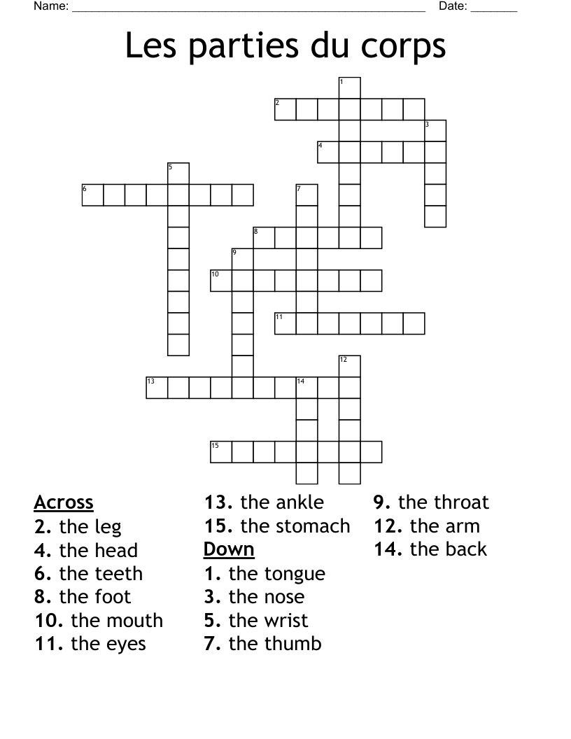 Les parties du corps Crossword