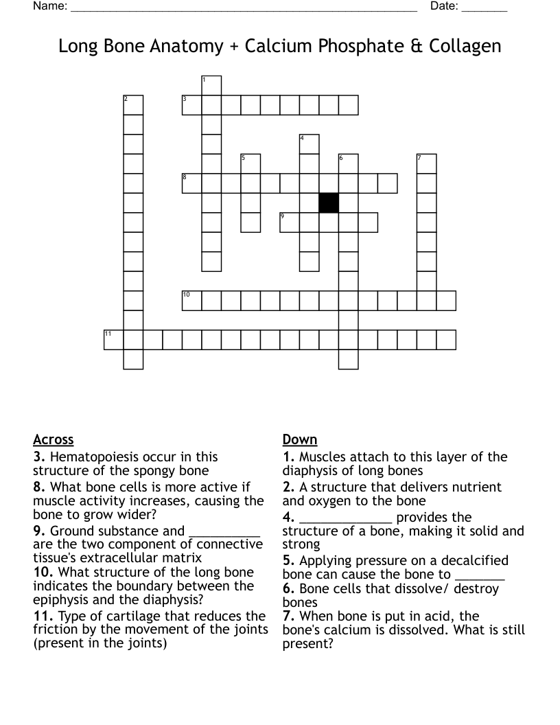 Long Bone Anatomy + Calcium Phosphate & Collagen Crossword