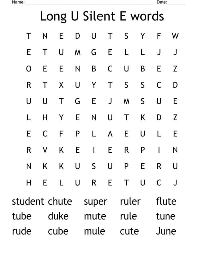 Long U Silent E words Word Search