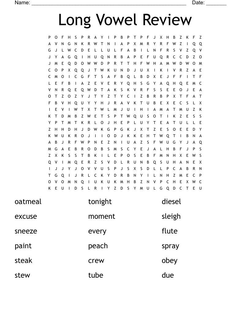Long Vowel Review Word Search