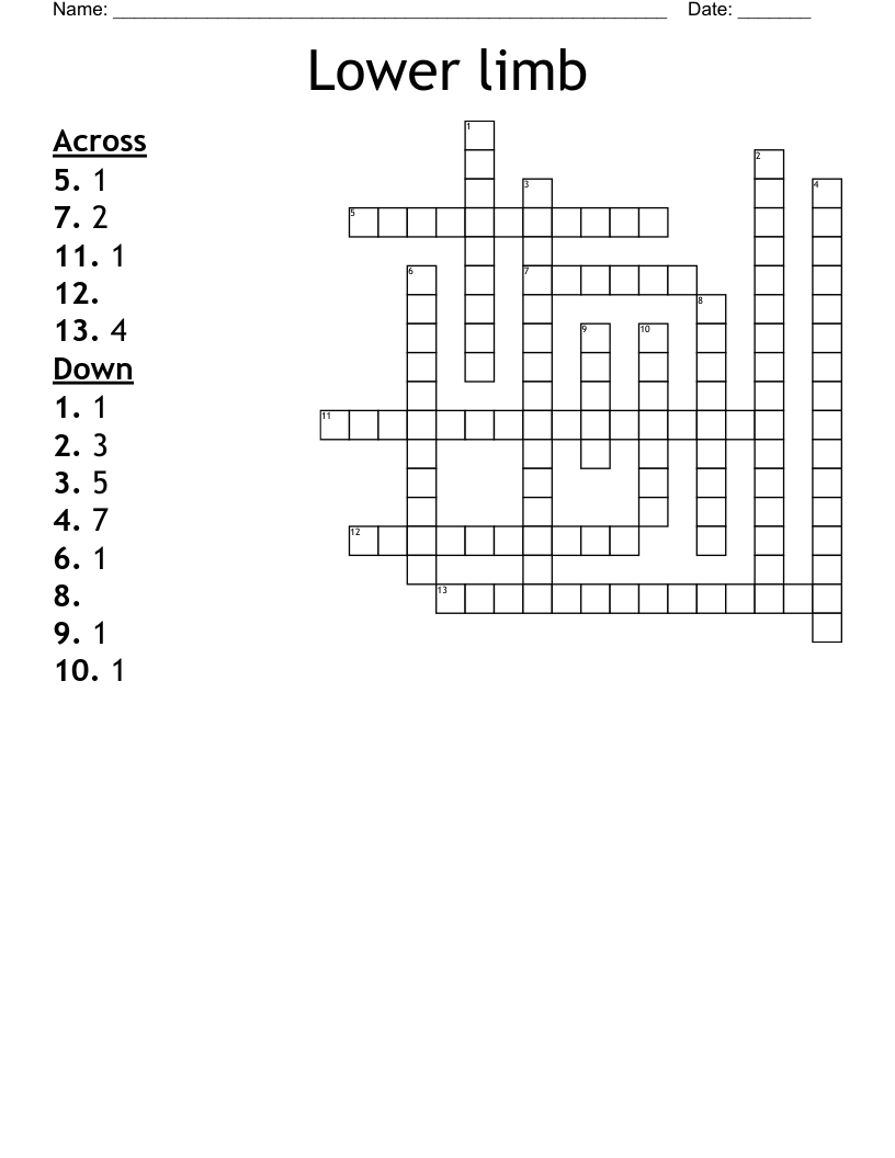 Lower limb  Crossword