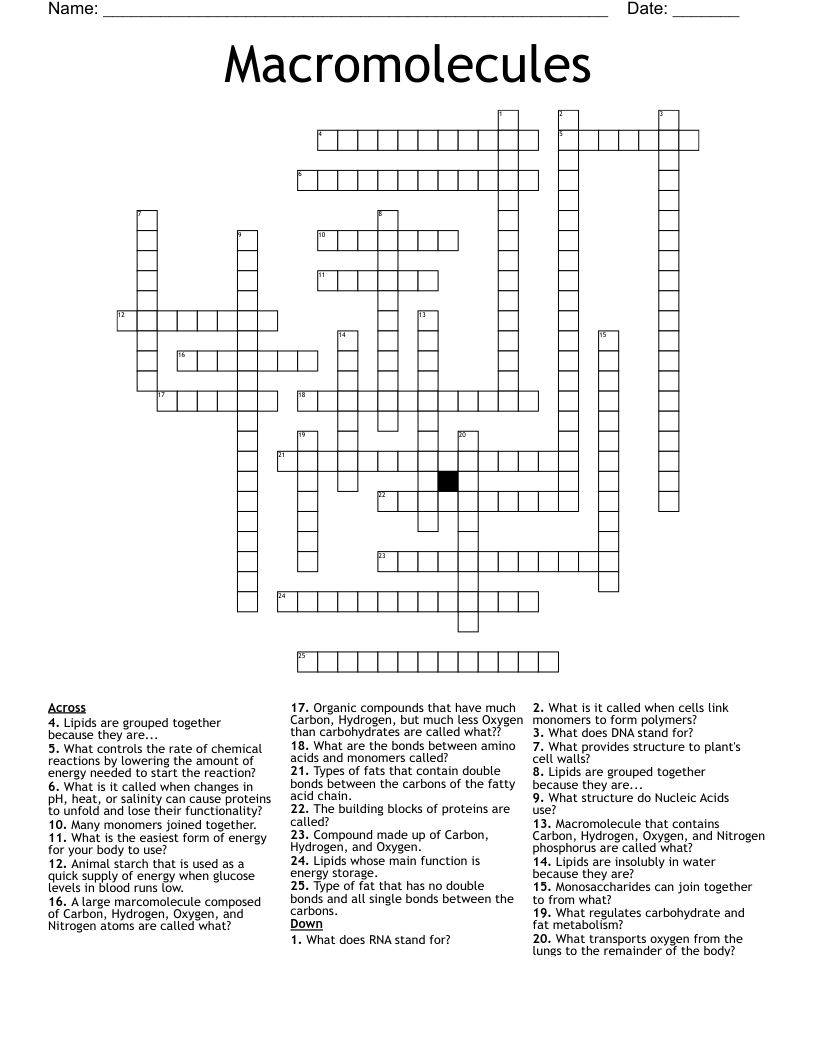 Macromolecules Crossword