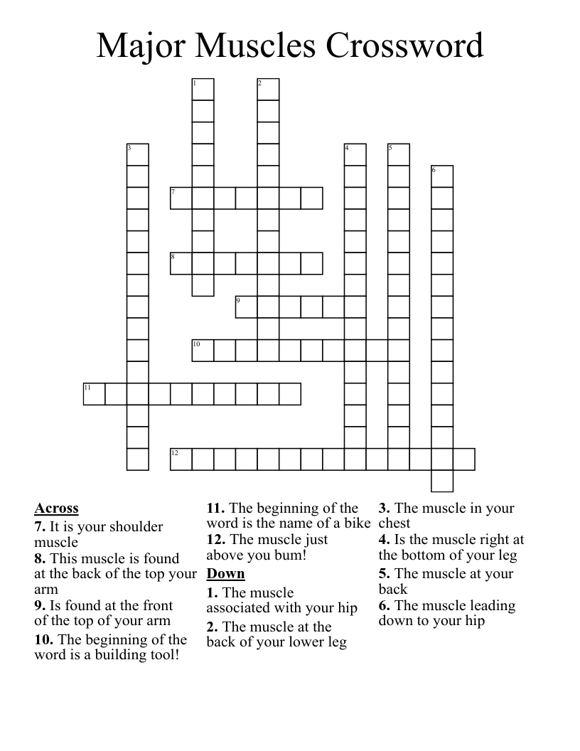 Major Muscles Crossword