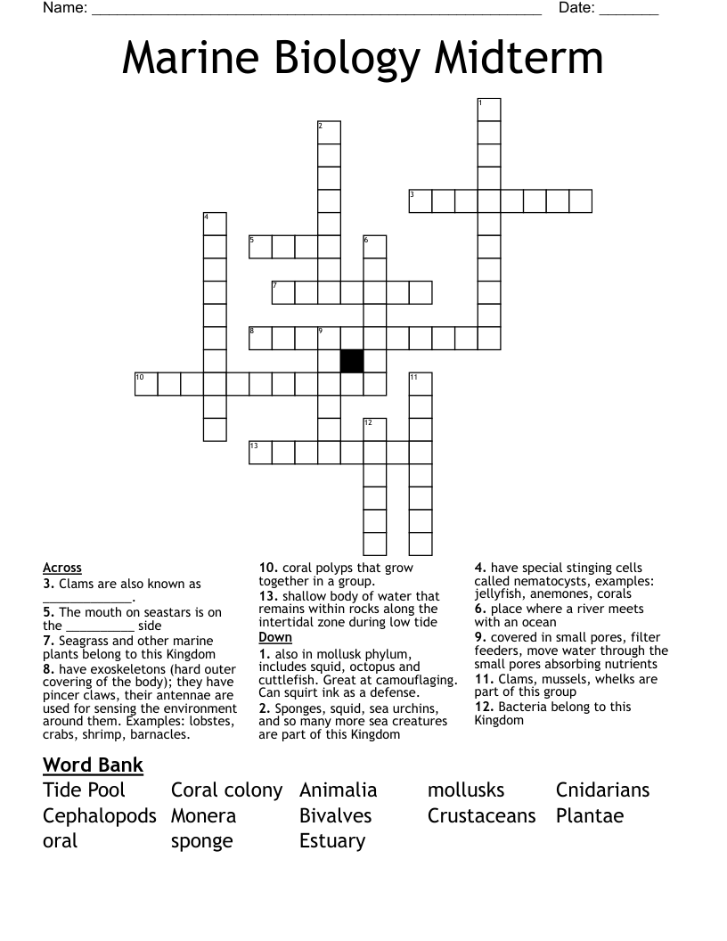 Marine Biology Midterm Crossword