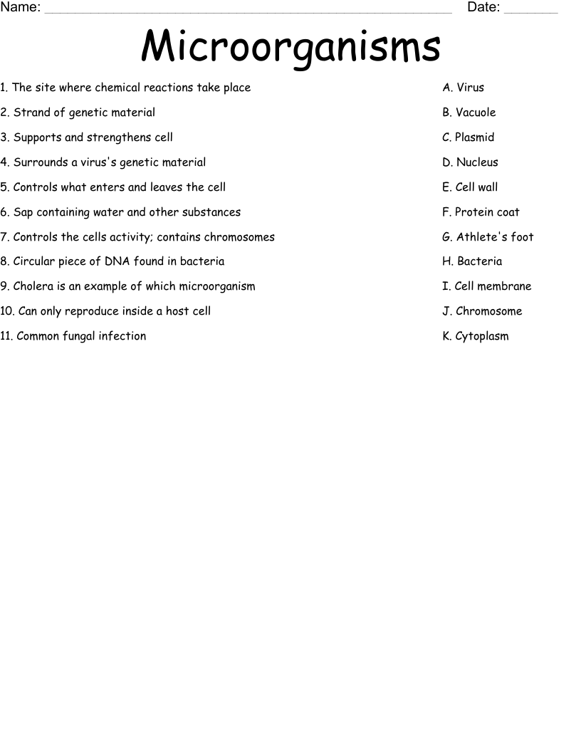 Microorganisms Worksheet