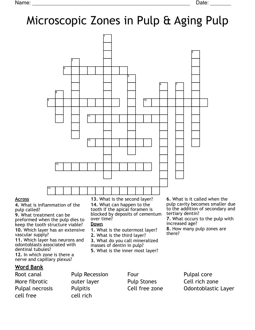 Microscopic Zones in Pulp & Aging Pulp Crossword