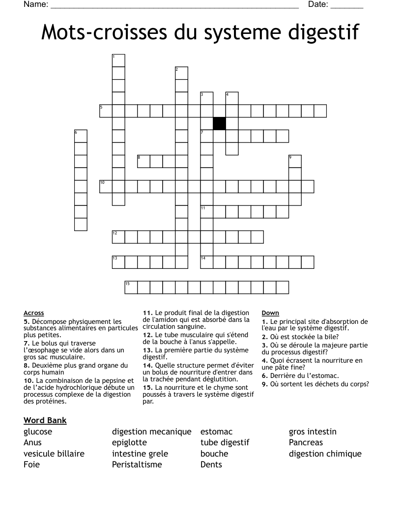 Mots-croisses du systeme digestif Crossword