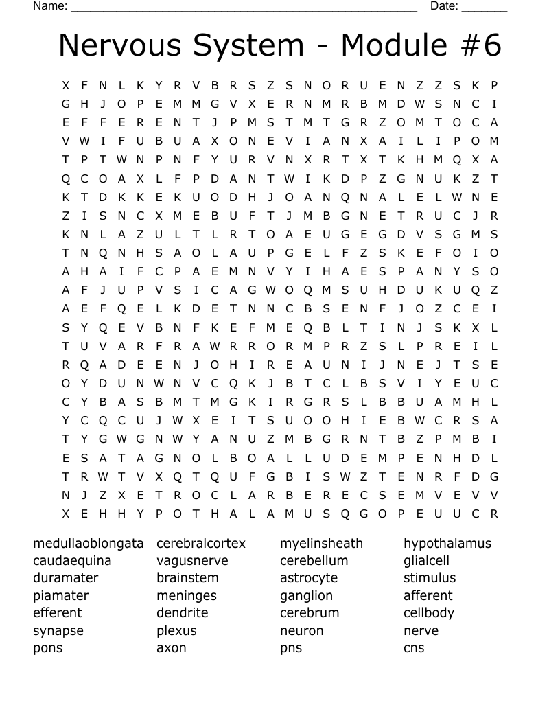 Nervous System - Module #6 Word Search