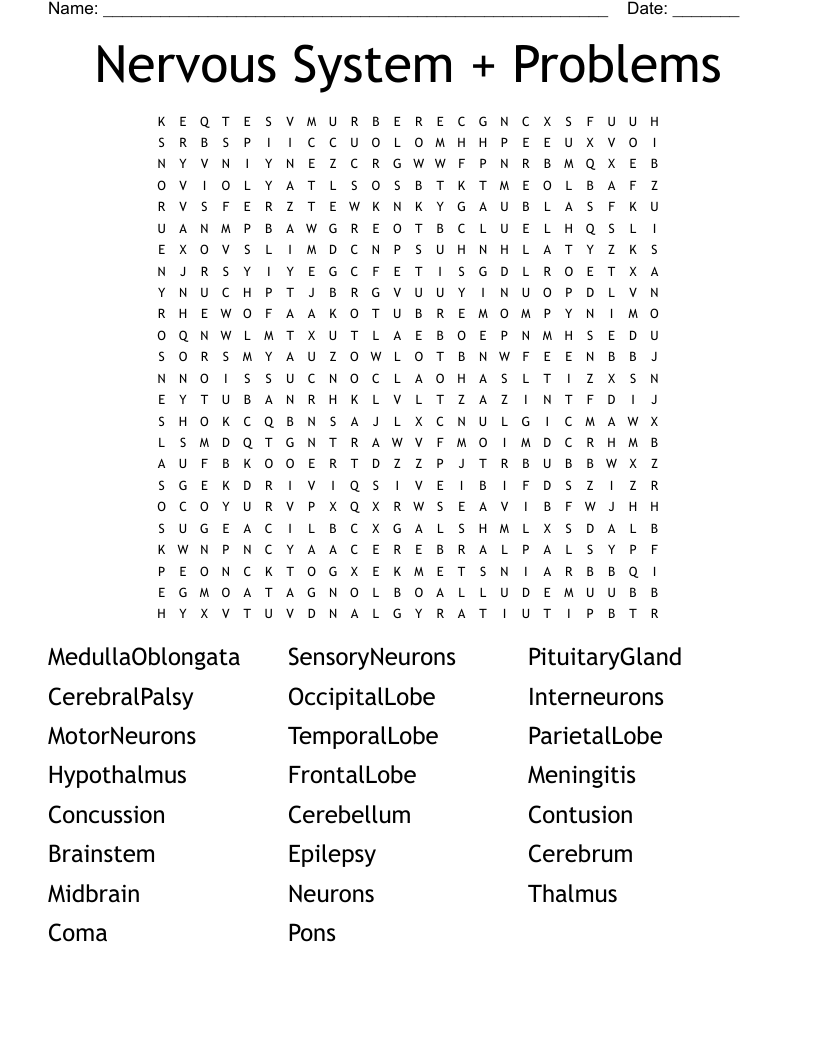 Nervous System + Problems Word Search