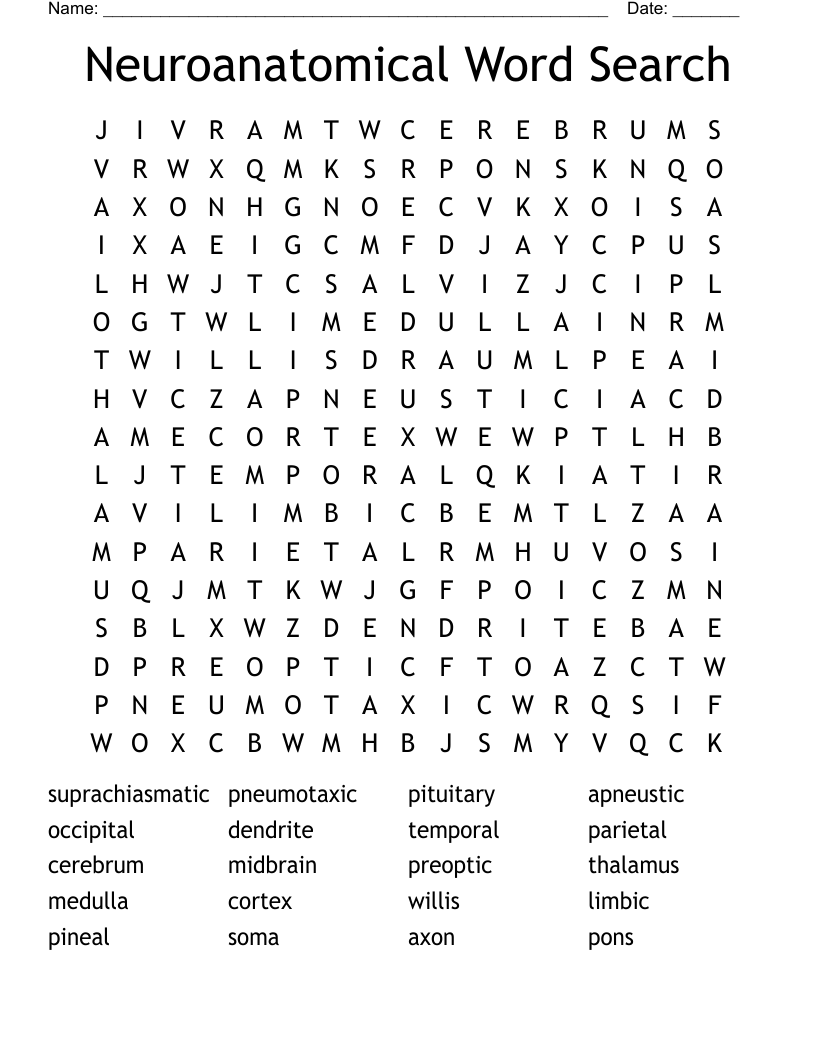 Neuroanatomical Word Search