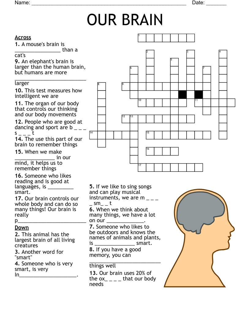 OUR BRAIN Crossword