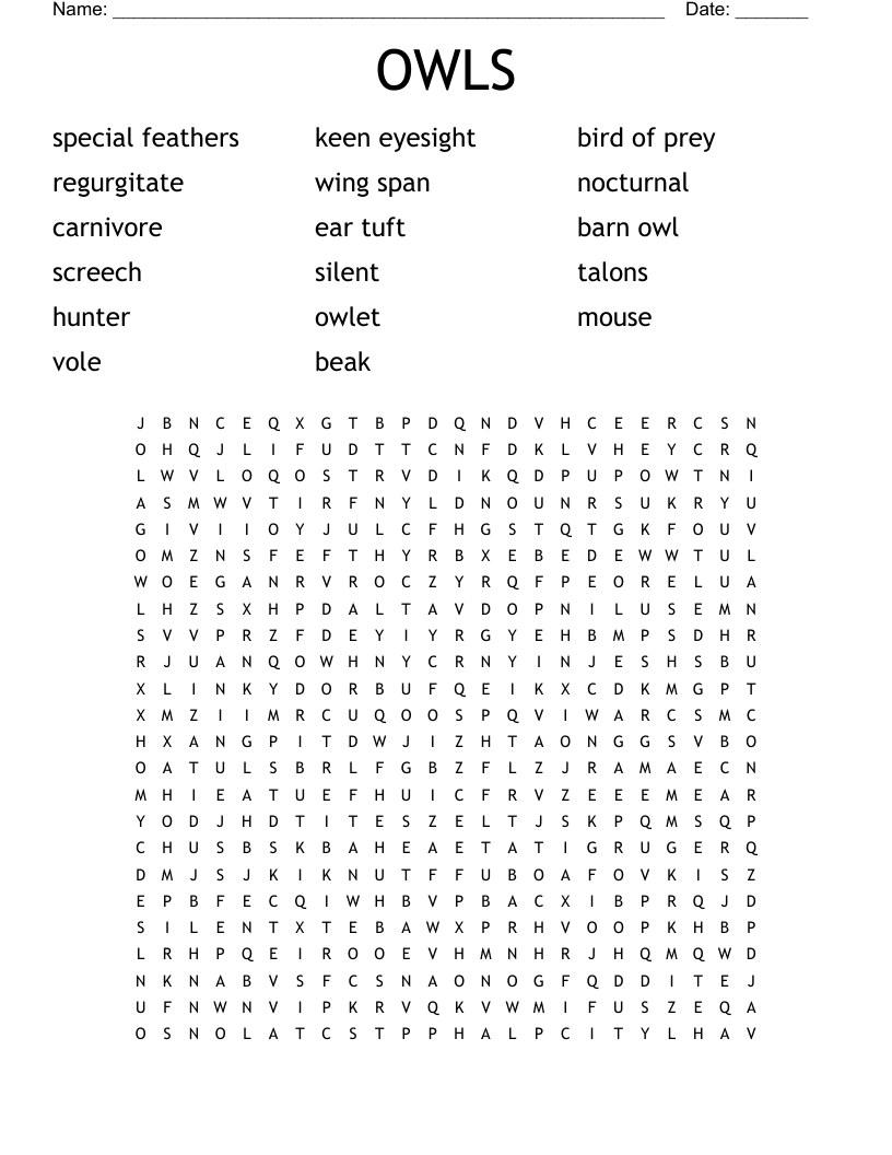 OWLS Word Search
