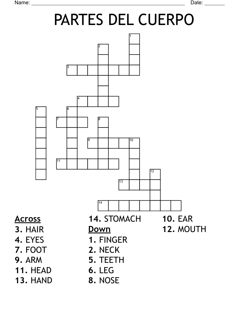 PARTES DEL CUERPO Crossword