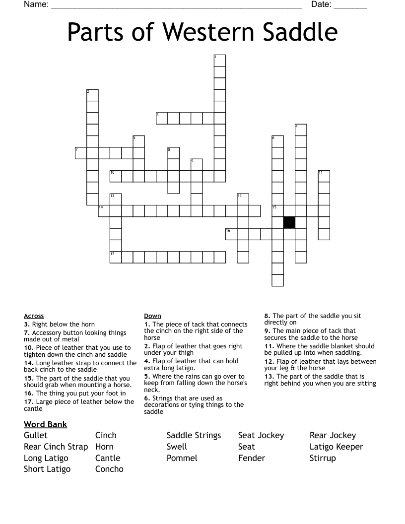 Parts of Western Saddle Crossword