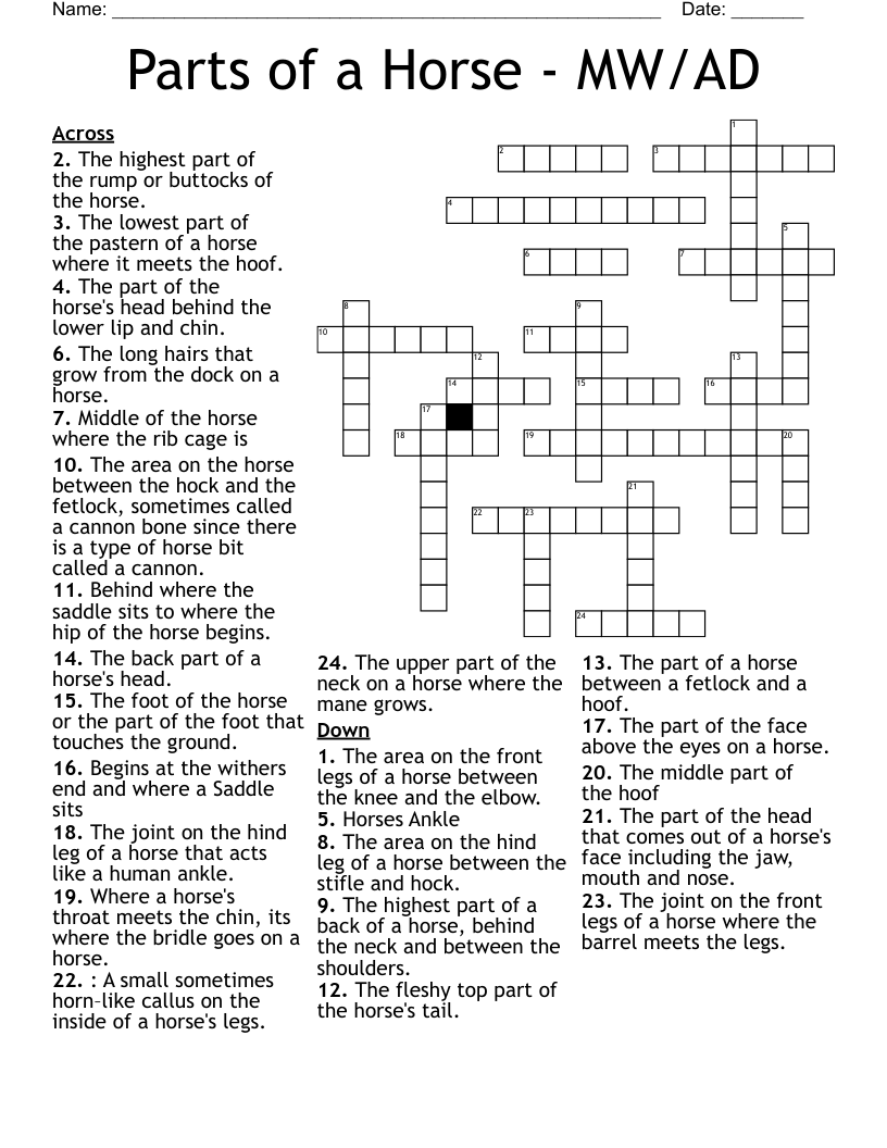 Parts of a Horse - MW/AD Crossword