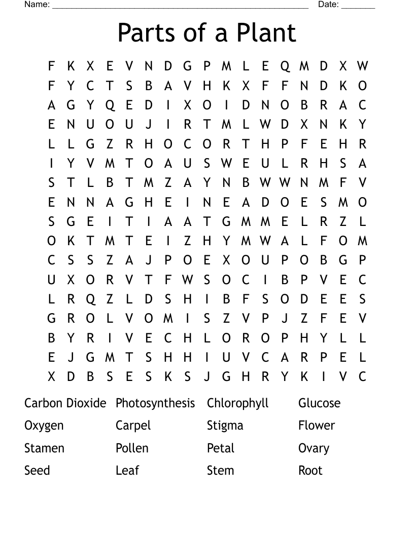 Parts of a Plant Word Search