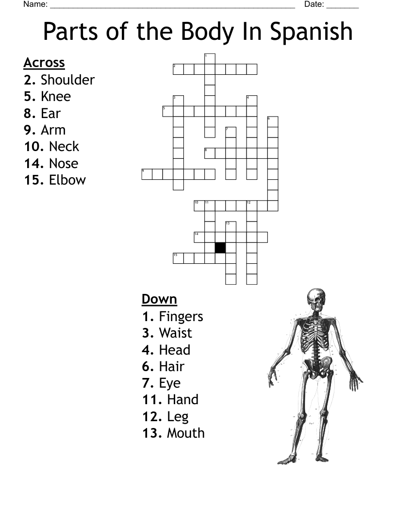 Parts of the Body In Spanish Crossword