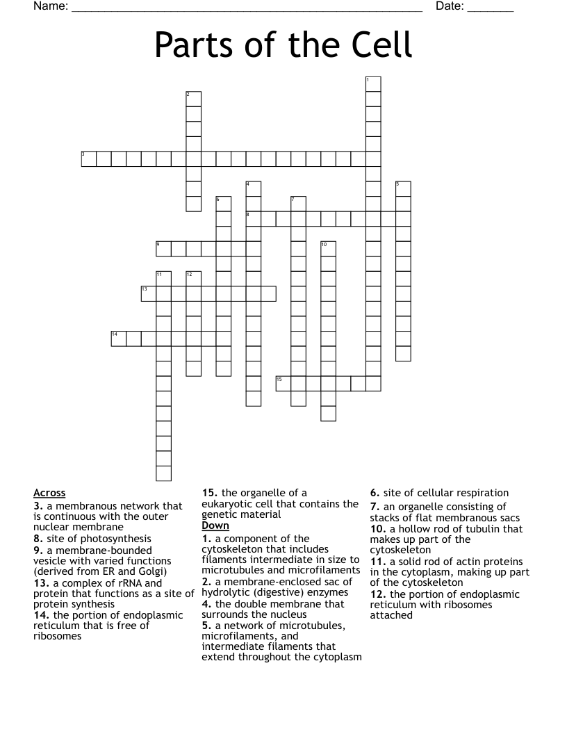 Parts of the Cell  Crossword