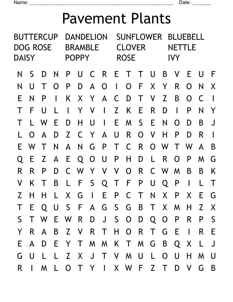 Pavement Plants Word Search