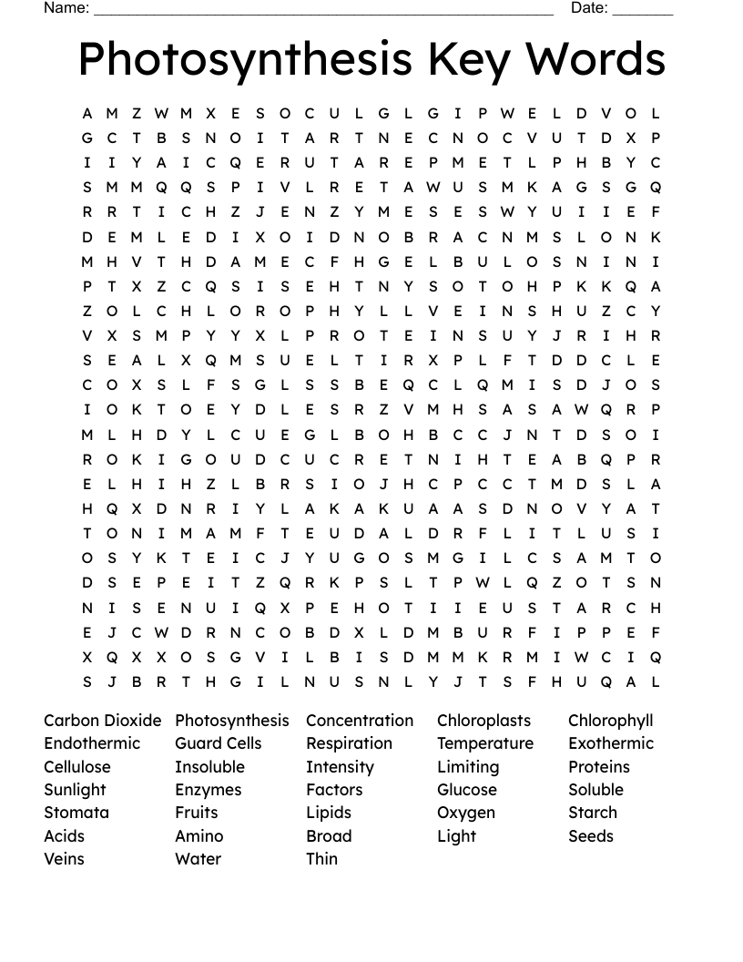 Photosynthesis Key Words Word Search
