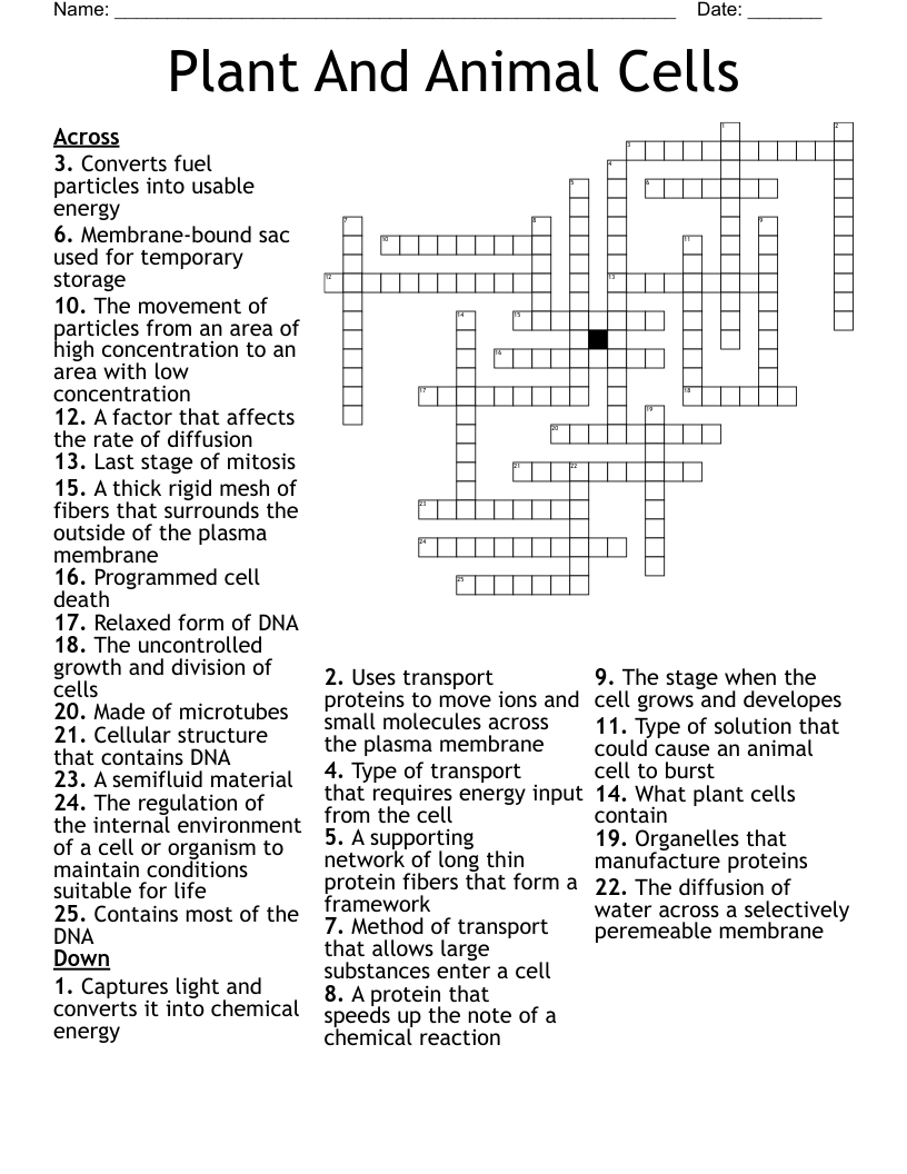 Plant And Animal Cells Crossword