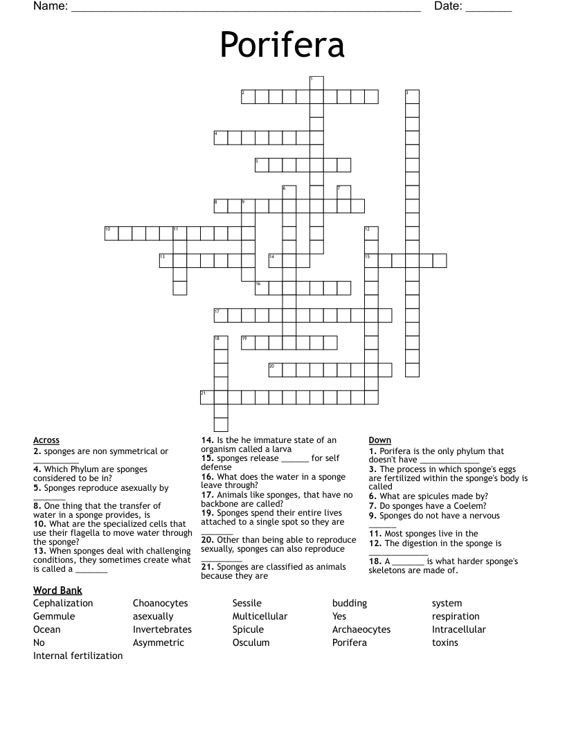 Porifera Crossword