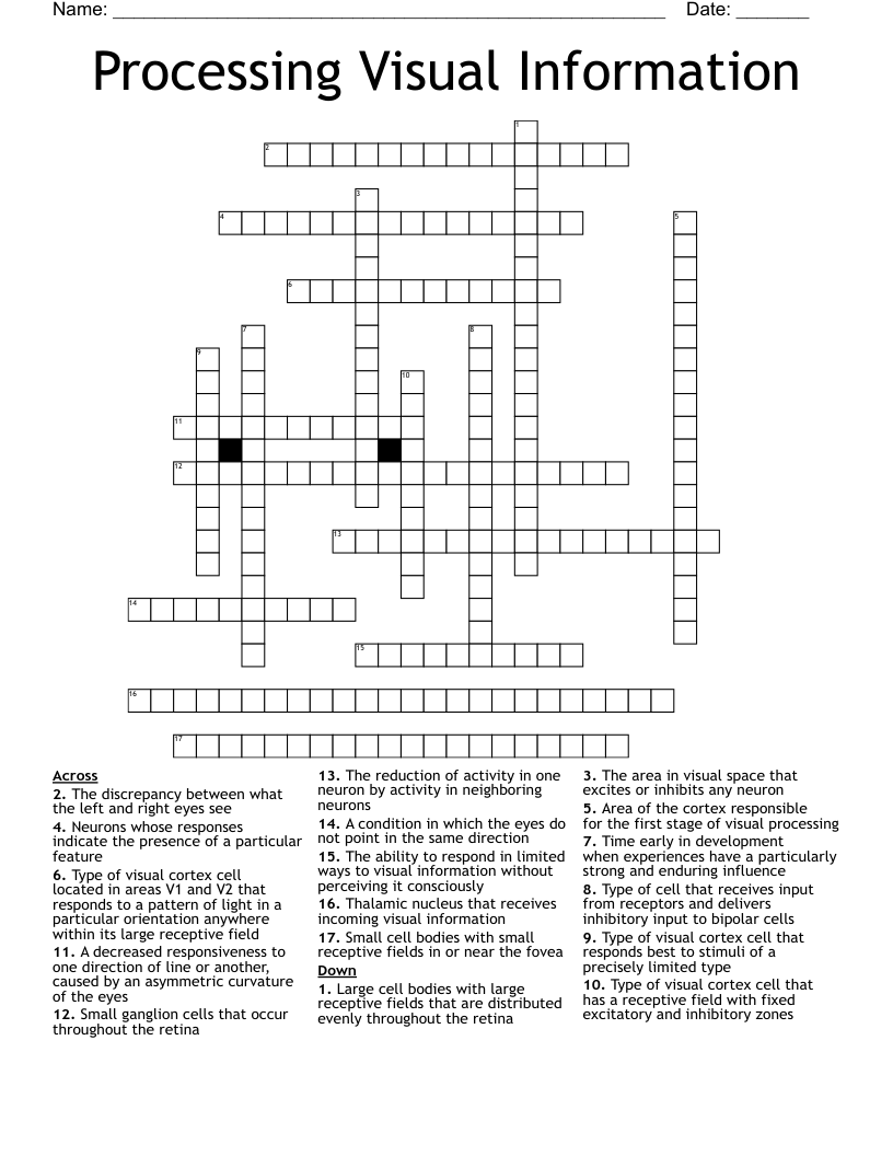 Processing Visual Information Crossword