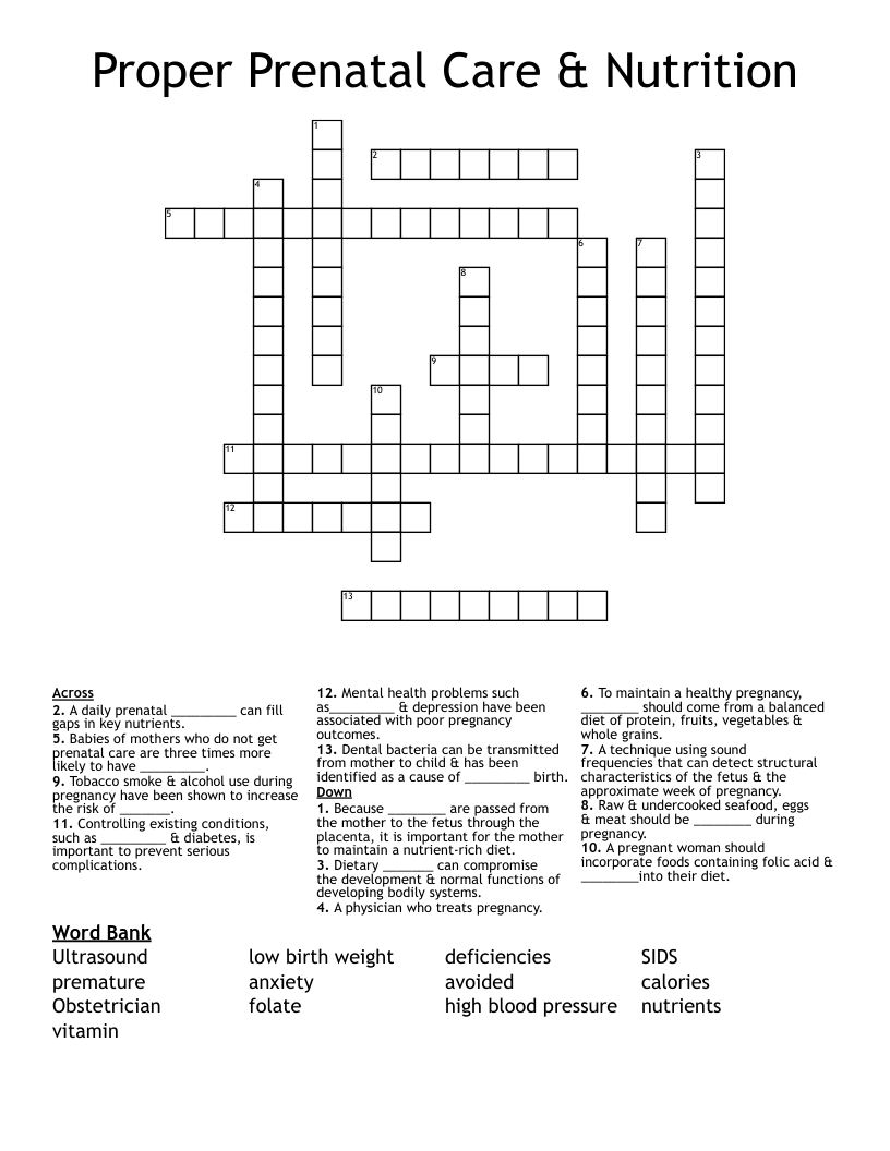 Proper Prenatal Care & Nutrition Crossword