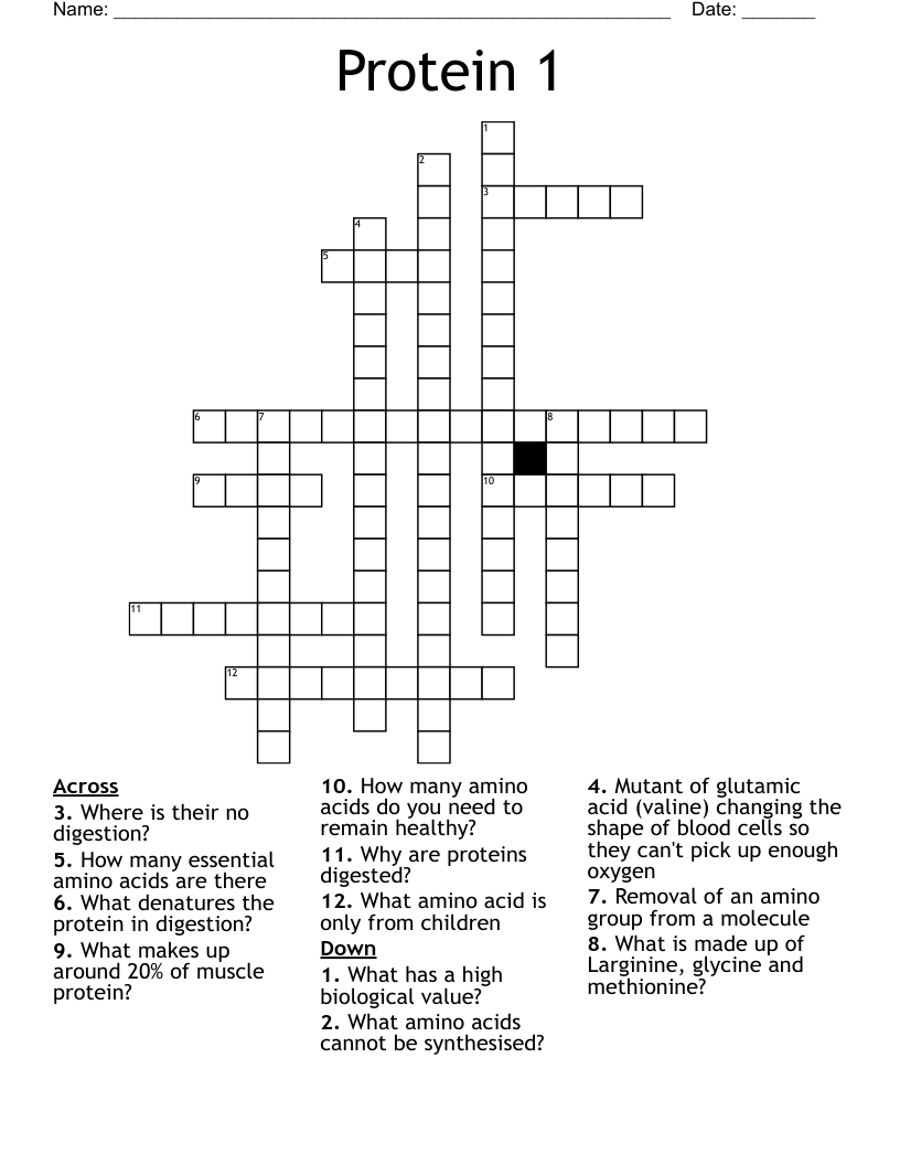 Protein 1  Crossword