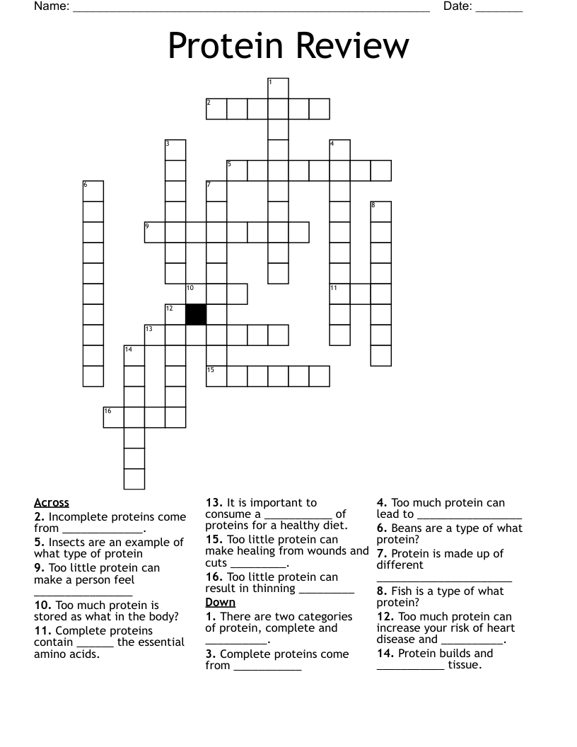 Protein Review Crossword