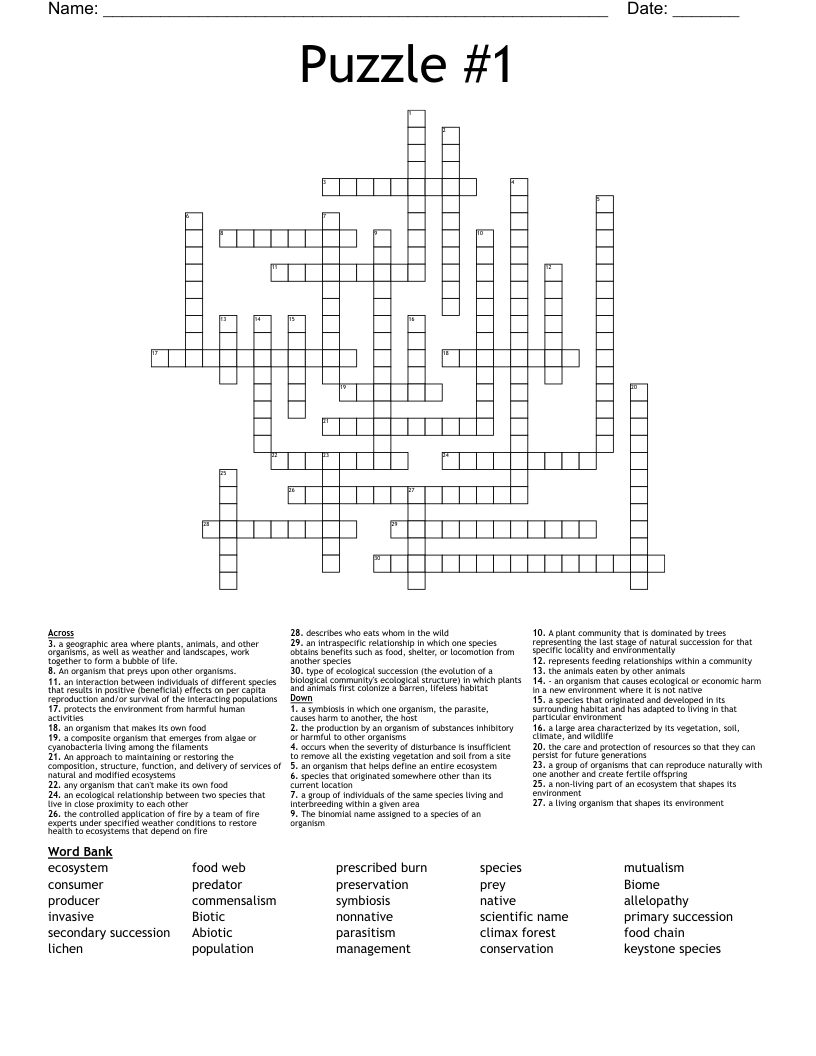 Puzzle #1 Crossword