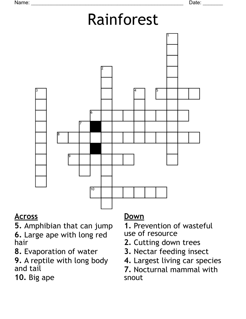Rainforest Crossword