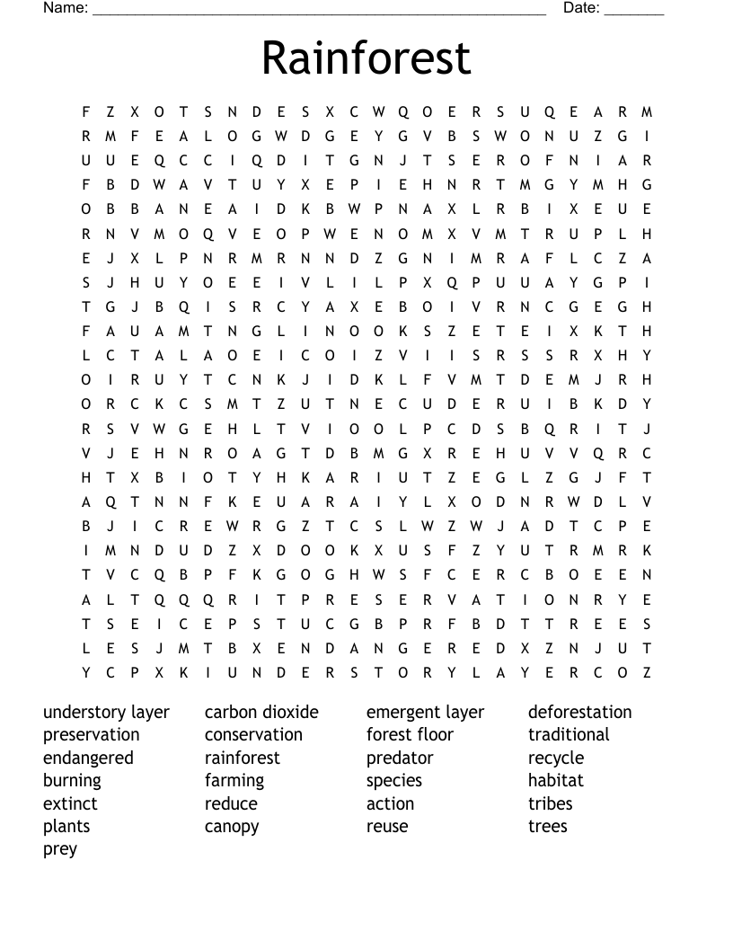 Rainforest Word Search
