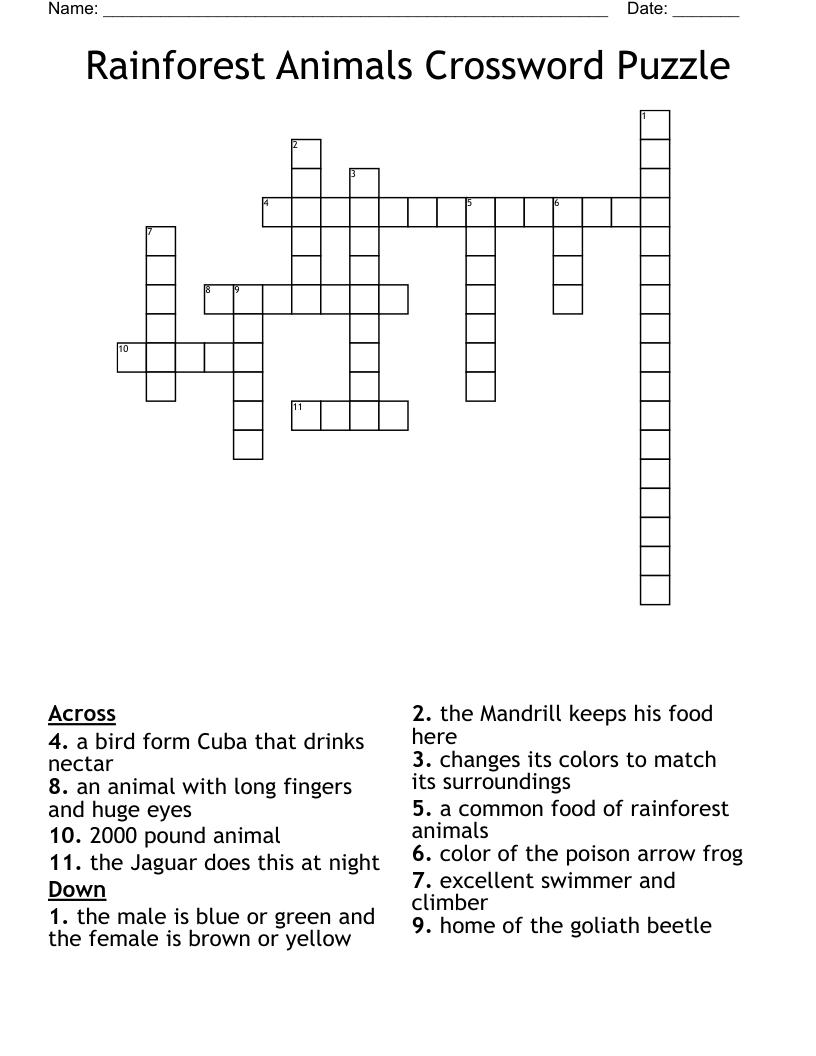 Rainforest Animals Crossword Puzzle